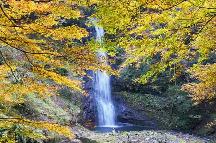 �L���s�E�����v��